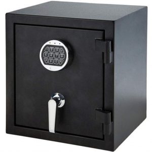 gun and document safe