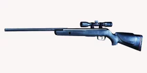 Gamo Varmint Air Rifle