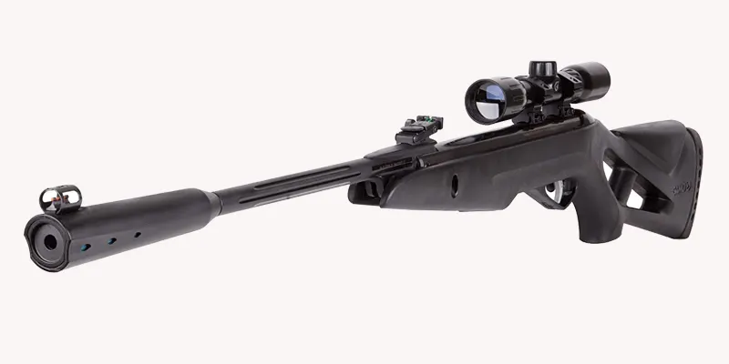 Gamo Whisper-Silent Cat Air Rifle